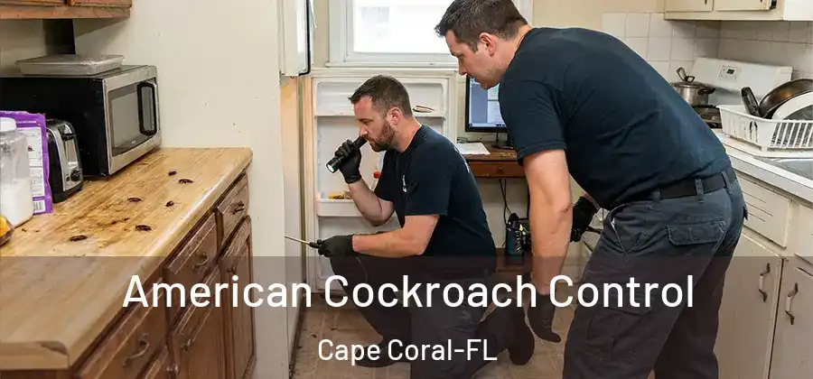  American Cockroach Control Cape Coral-FL