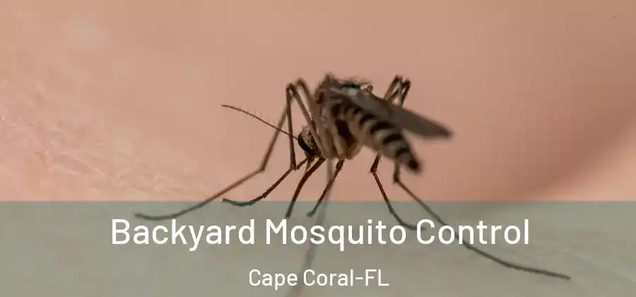 Backyard Mosquito Control Cape Coral-FL