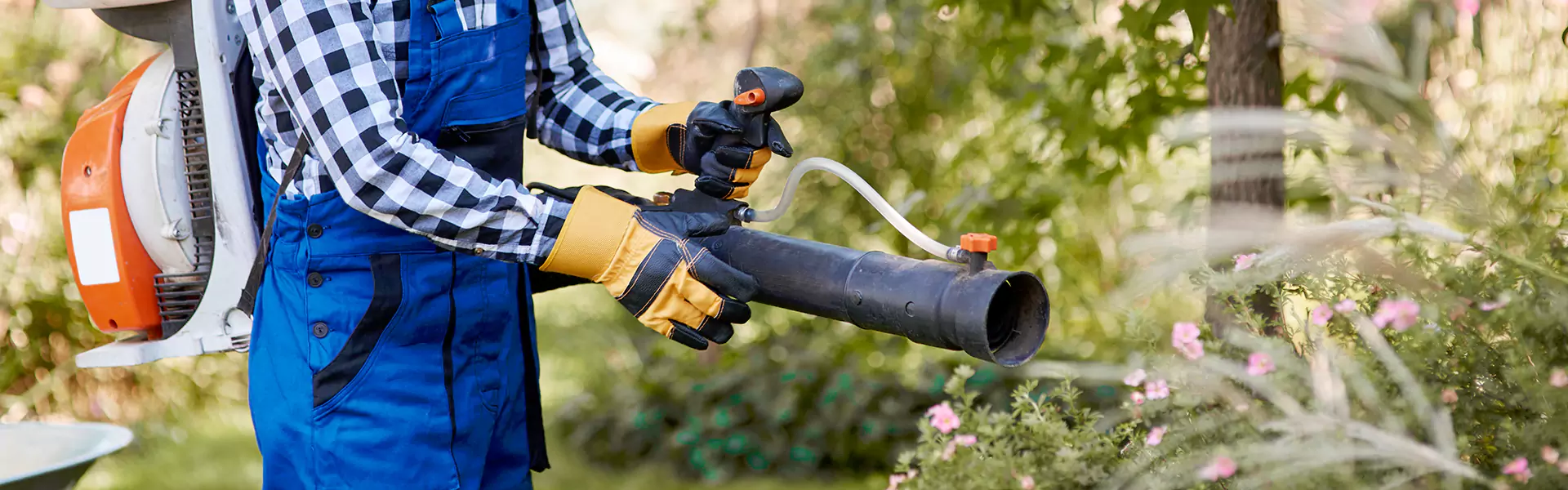 Mosquito Prevention