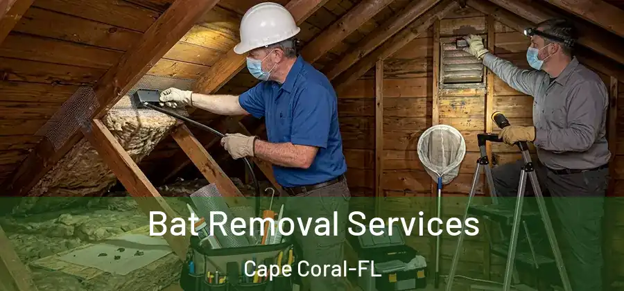 Bat Removal Services Cape Coral-FL