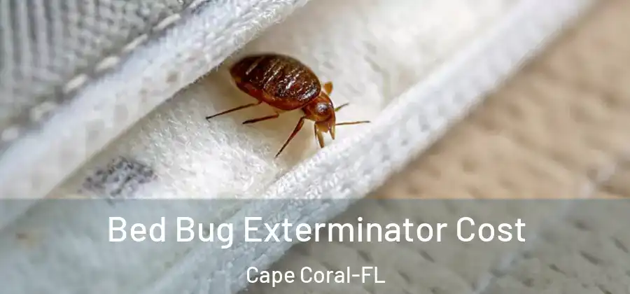 Bed Bug Exterminator Cost Cape Coral-FL