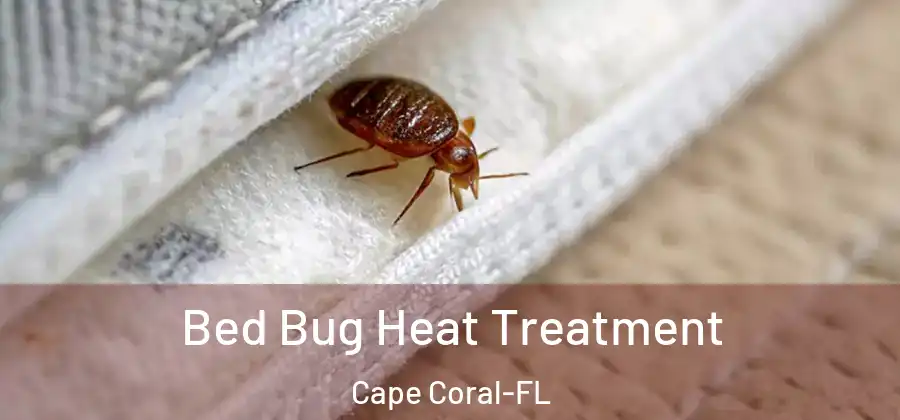Bed Bug Heat Treatment Cape Coral-FL