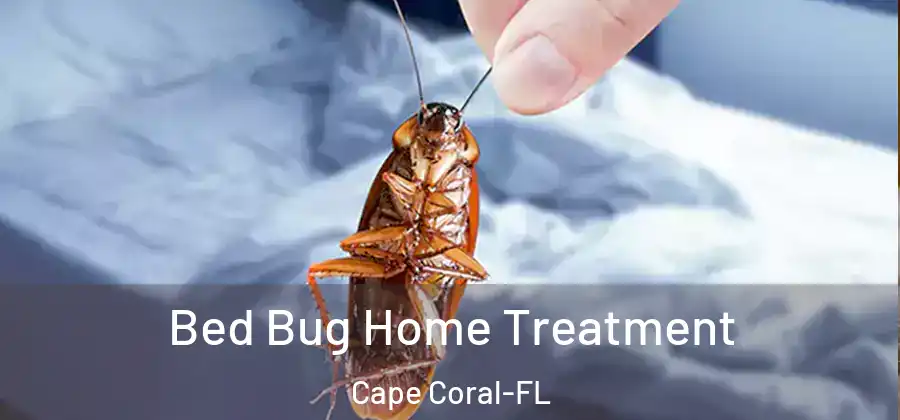 Bed Bug Home Treatment Cape Coral-FL