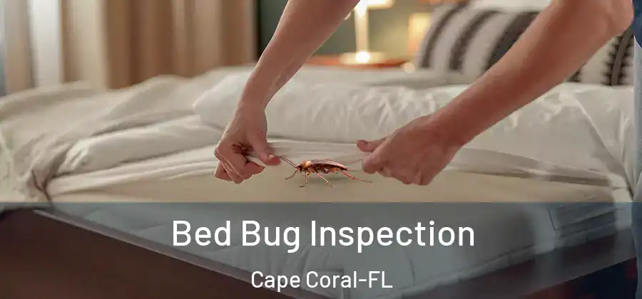 Bed Bug Inspection Cape Coral-FL