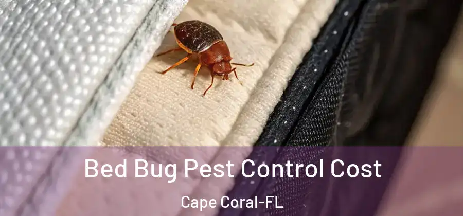 Bed Bug Pest Control Cost Cape Coral-FL