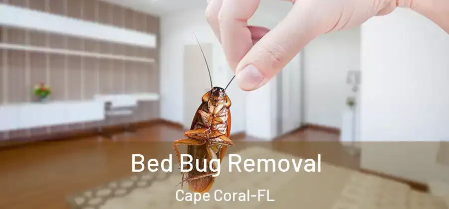  Bed Bug Removal Cape Coral-FL