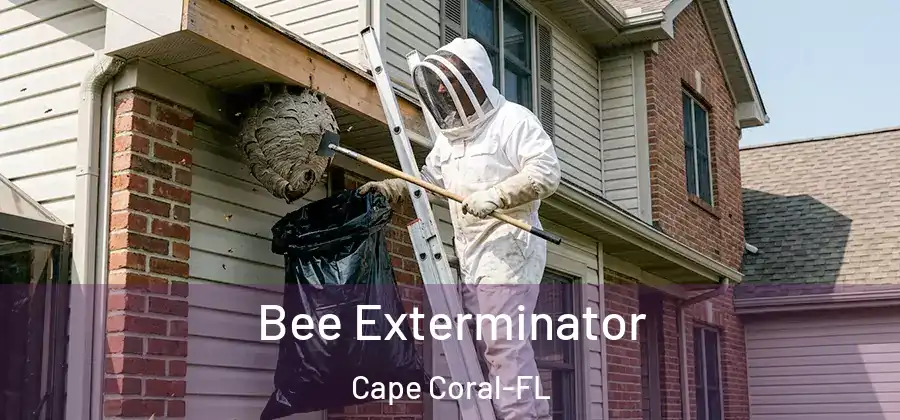  Bee Exterminator Cape Coral-FL
