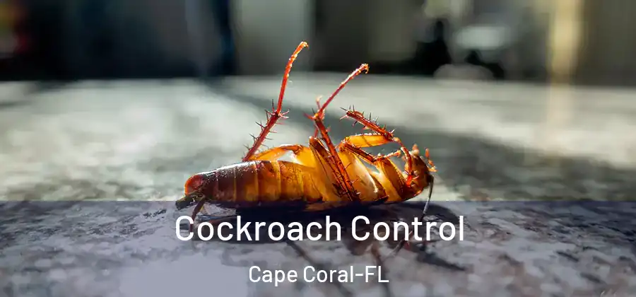  Cockroach Control Cape Coral-FL