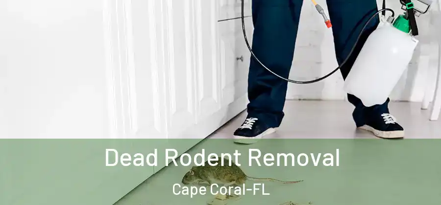 Dead Rodent Removal Cape Coral-FL