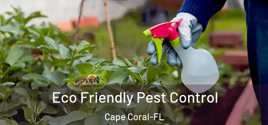  Eco Friendly Pest Control Cape Coral-FL