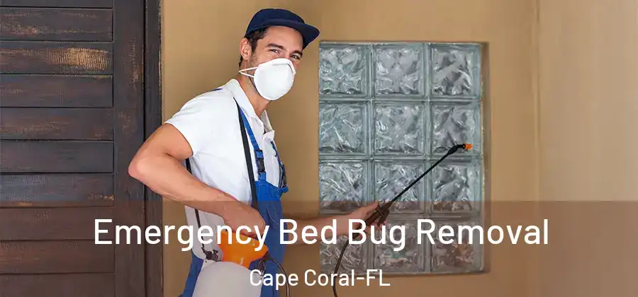 Emergency Bed Bug Removal Cape Coral-FL