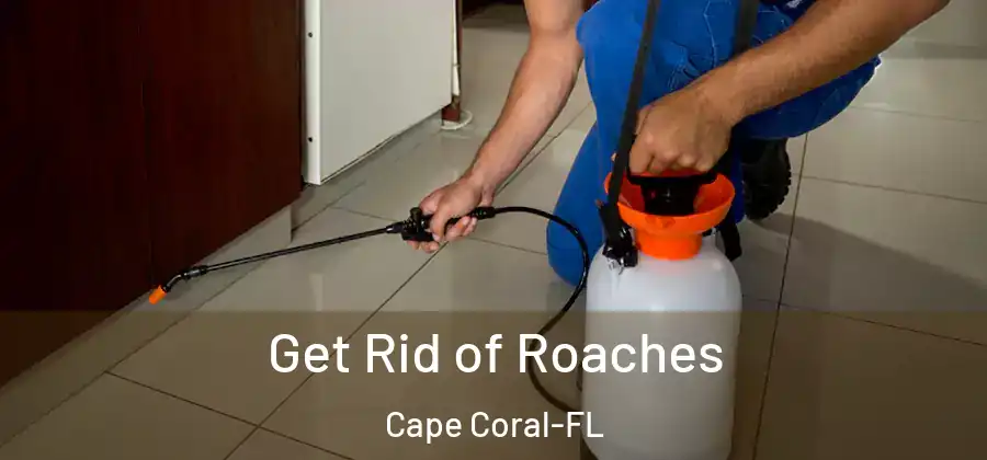 Get Rid of Roaches Cape Coral-FL