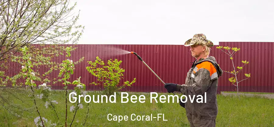Ground Bee Removal Cape Coral-FL