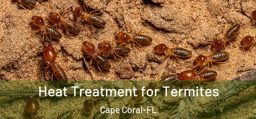  Heat Treatment for Termites Cape Coral-FL