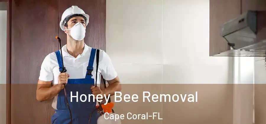  Honey Bee Removal Cape Coral-FL