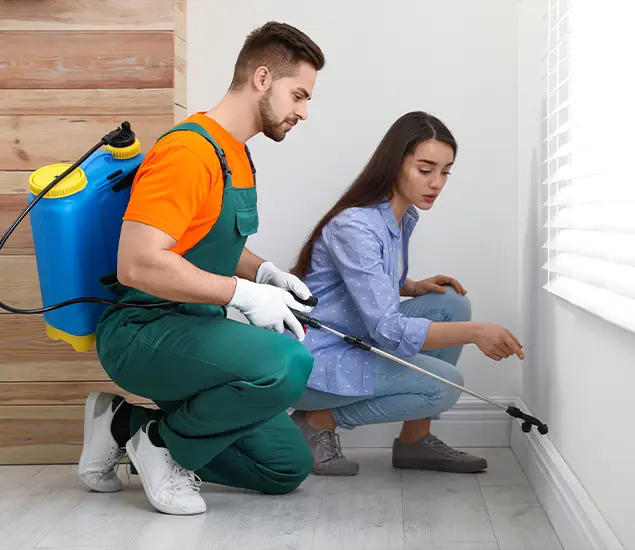 Trusted Affordable Bed Bug Treatment Experts in Cape Coral, FL
