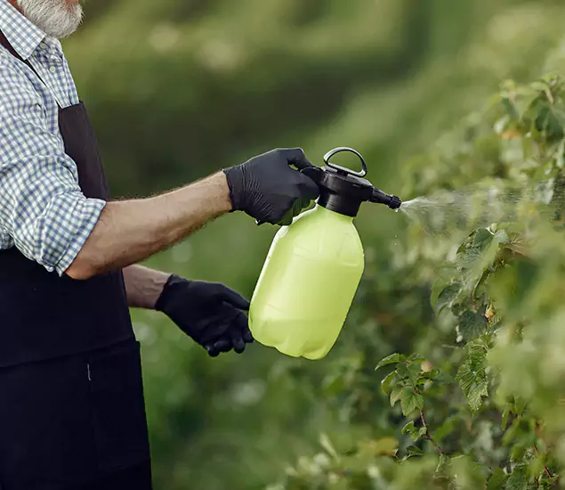 Your Proven Mosquito Treatment Company in Cape Coral, FL