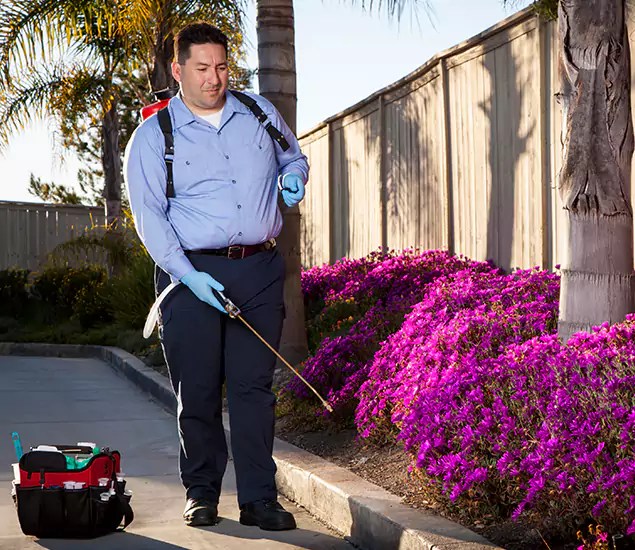 About Our Eco Safe Pest Control Experts in Cape Coral, FL
