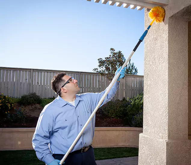 Trusted Experts in Cape Coral FL for Formosan Termite Treatment and Black Termite Control