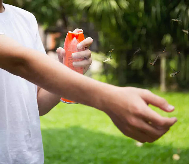 Your Best Indoor Bug Killer Team in Cape Coral, FL