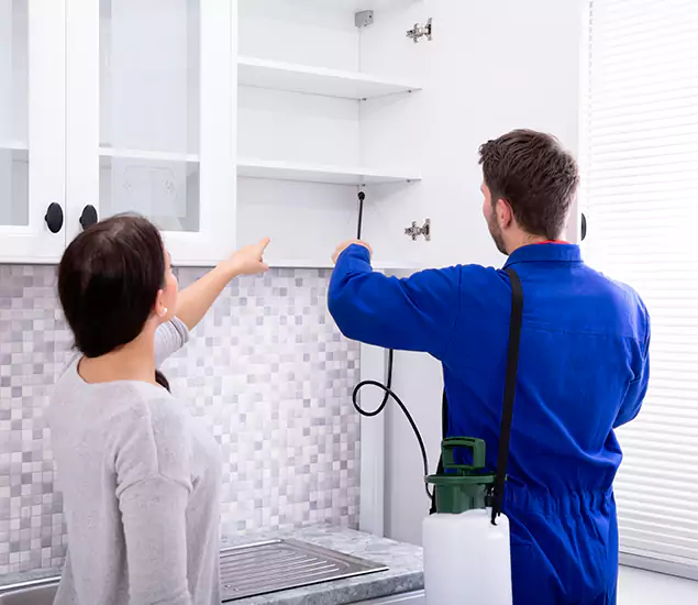 In Cape Coral, FL Advanced Household Pest Control by Cape Coral Pest Controls