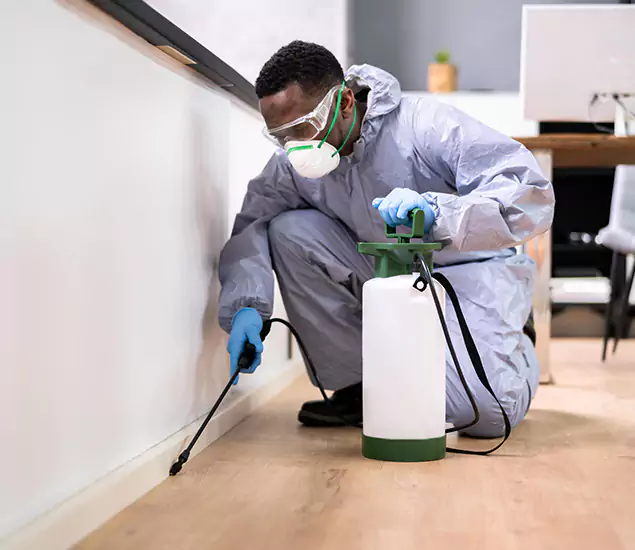 Leading Industrial Pest Control Experts Serving Cape Coral, FL