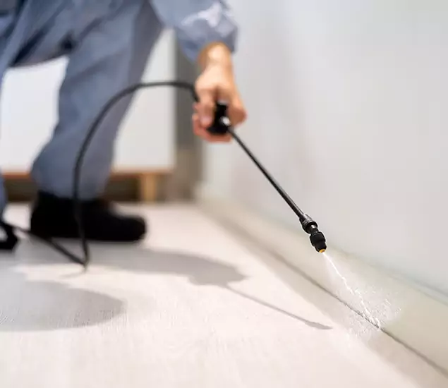 About Our Liquid Termite Treatment Experts in Cape Coral, FL