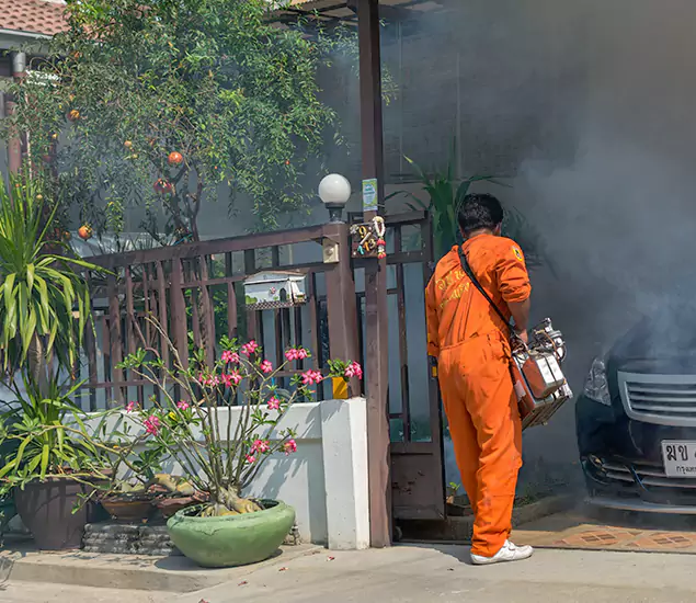 Your Proven Mosquito Fogging Company in Cape Coral, FL