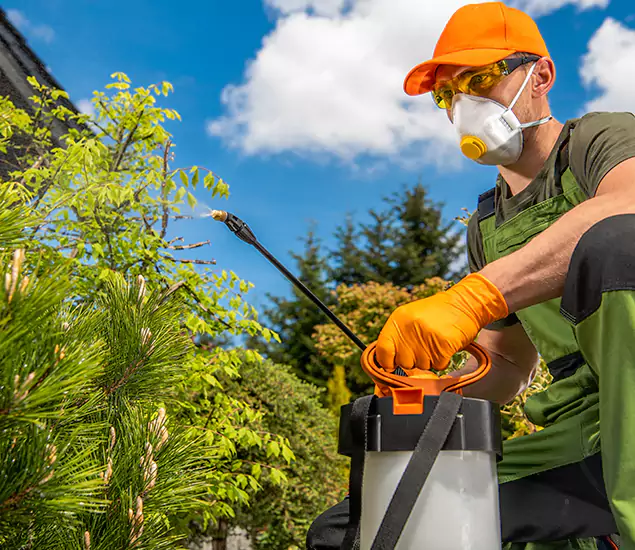 Your Best Bug Spray for Home Team in Cape Coral, FL