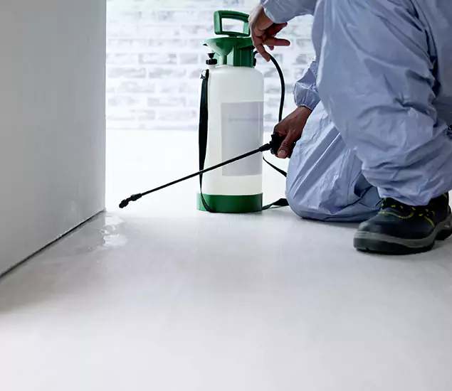 Affordable Pest Control Experts in Cape Coral, FL