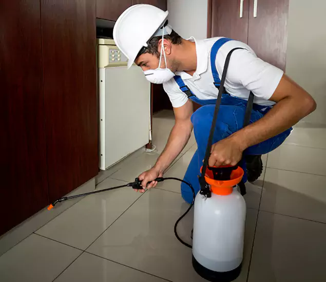 Advanced Termite Pre Treatment Experts in Cape Coral, FL