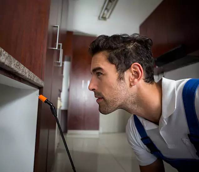 Expert Rodent in Attic Removal: Your Proven Pest Specialists in Cape Coral, FL