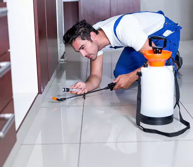 Advanced Slab Termite Treatment Experts You Can Trust&nbsp;in Cape Coral, FL