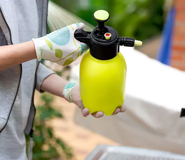 Skilled Residential Small Black Ant Service in Cape Coral, FL