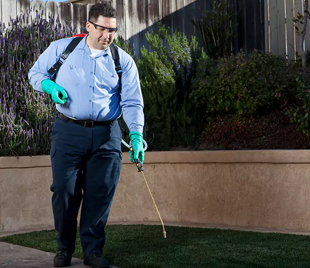 Reliable Termite Barrier Treatment Experts in Cape Coral, FL
