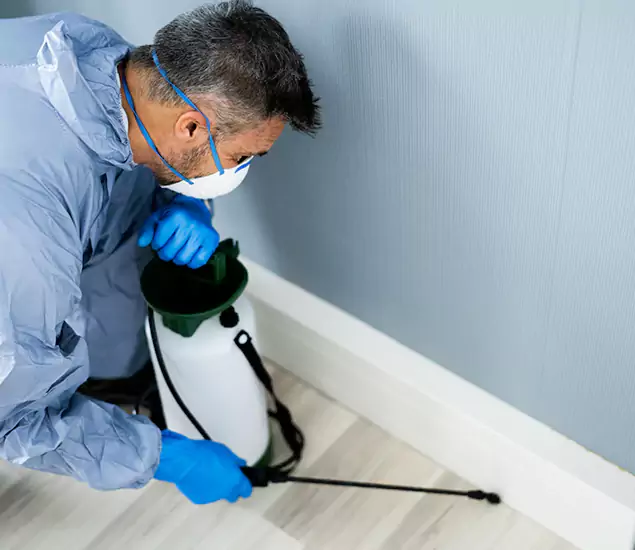 Reliable Termite Cost Experts in Cape Coral, FL