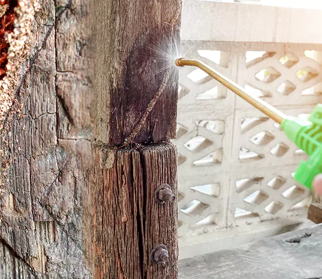 About Wood Termite Treatment Services in Cape Coral, FL