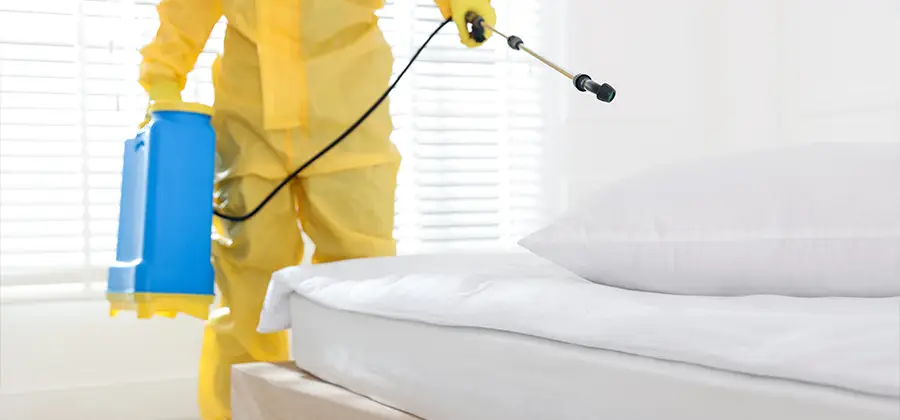 Targeted Chemical Application in Cape Coral