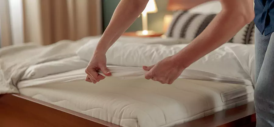 Bed Bug Extermination Services in Cape Coral