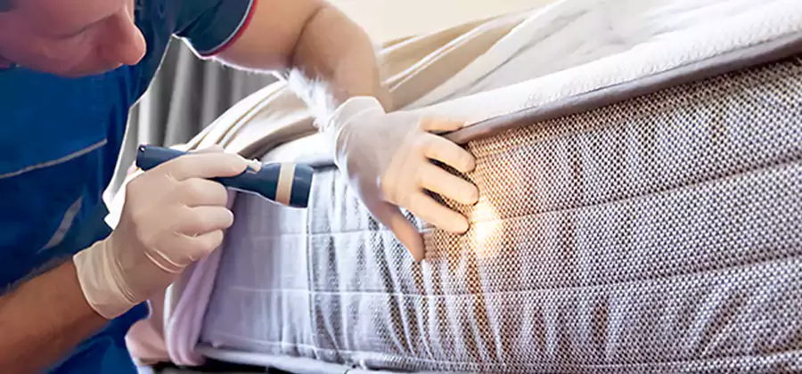 Residential Bed Bug Treatment Cost in Cape Coral