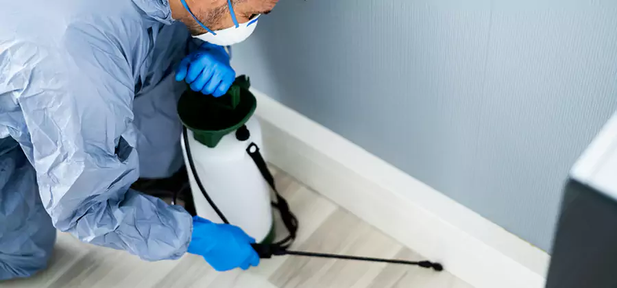 Fumigate Apartment Roaches in Cape Coral