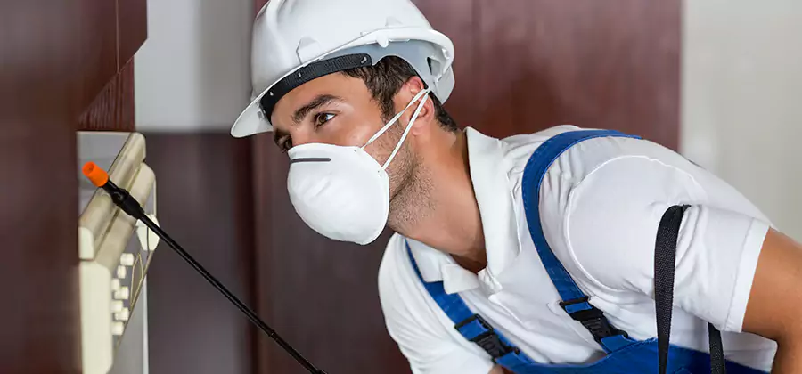 Injection Foam Treatment for Drywood Termites in Cape Coral