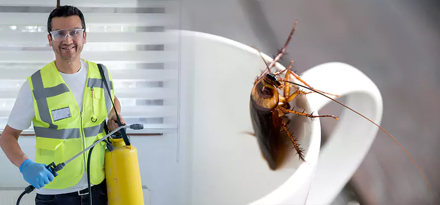 German Roach Infestation Treatment Cape Coral