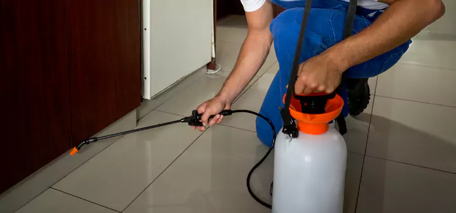 Indoor Mosquito Treatment in Cape Coral