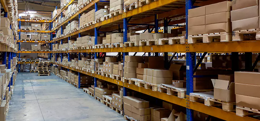 Warehouse Pest Control in Cape Coral