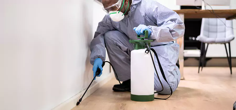 Long Lasting Mosquito Treatment in Cape Coral