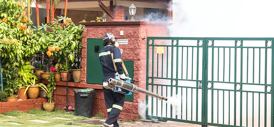 Backyard Mosquito Foggers Service in Cape Coral