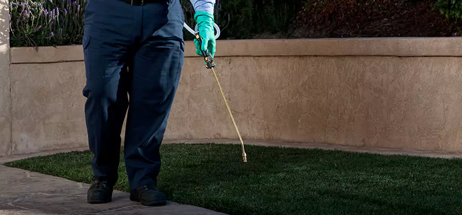 Soil Treatment for New Construction Termites in Cape Coral
