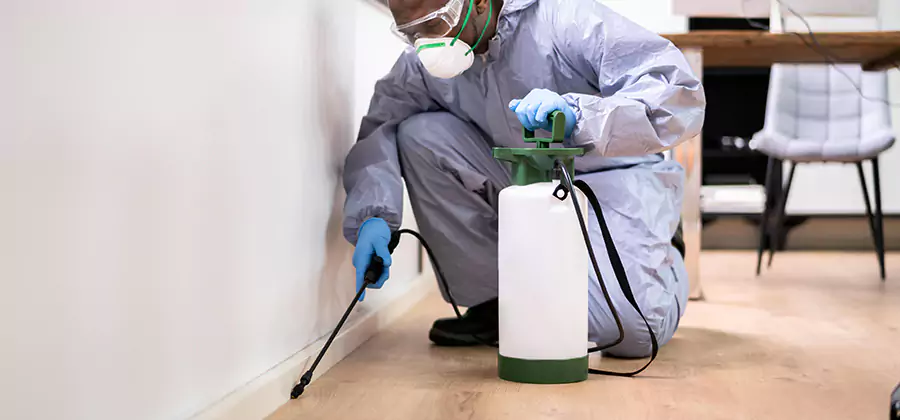 No Tent Termite Extermination With Electric Tool in Cape Coral