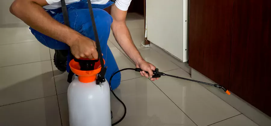 One Time Termite Control in Cape Coral